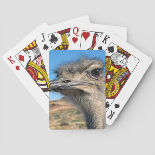 Jeu De Cartes Harry the Happy Ostrich