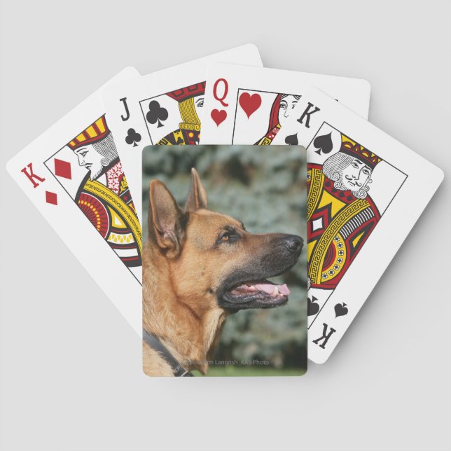 Jeu De Cartes Headshot 1 de berger allemand (dos)