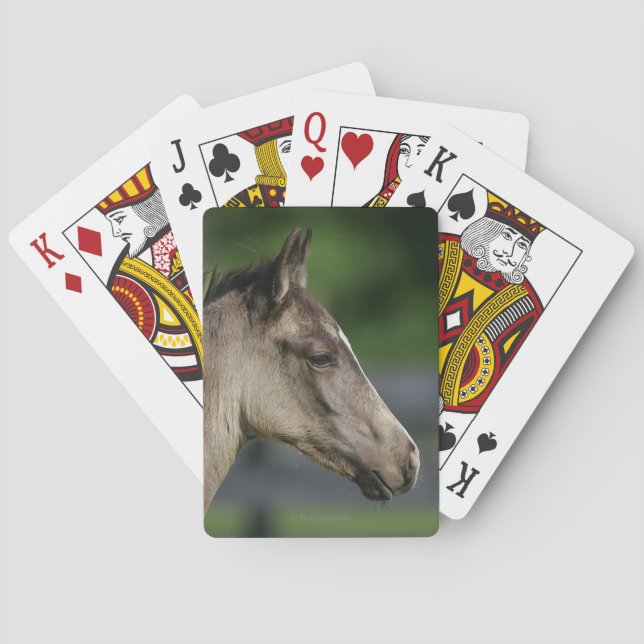 Jeu De Cartes Headshot quart de poulain de cheval (dos)