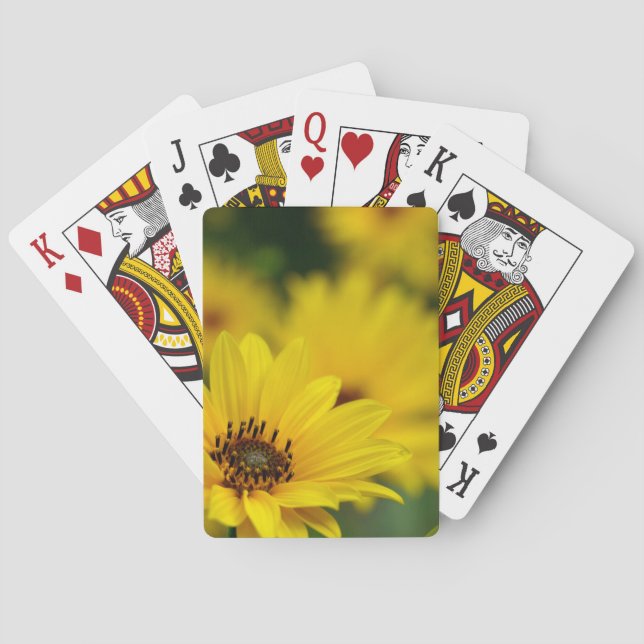 Jeu De Cartes Hélénium de marguerite jaune (dos)