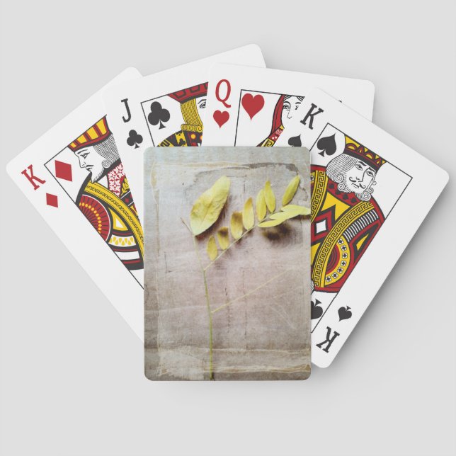 Jeu De Cartes Herbarium V (dos)
