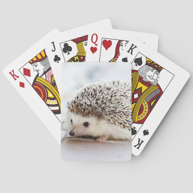 Jeu De Cartes Hérisson mignon (dos)