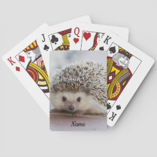Jeu De Cartes Hérisson pour animal