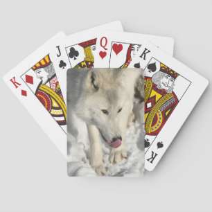 Jeu De Cartes Heure du dîner