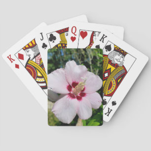 Jeu De Cartes Hibiscus