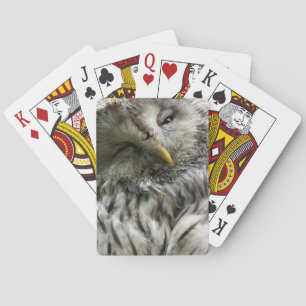JEU DE CARTES HIBOU