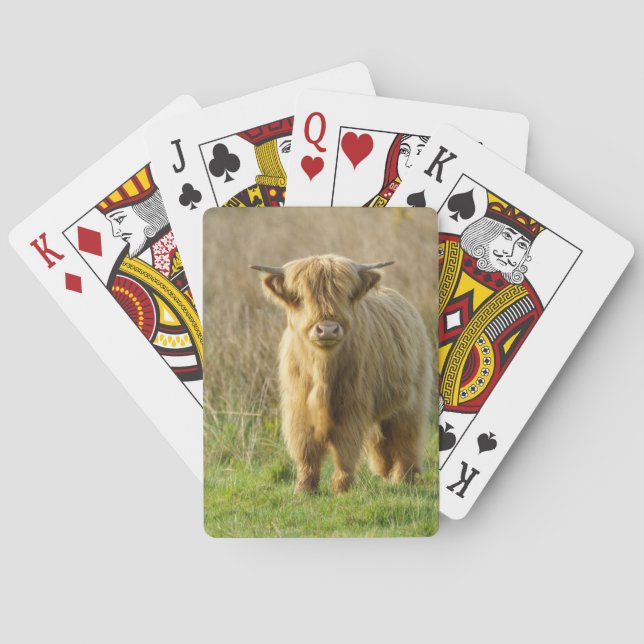 Jeu De Cartes Highland Cow (dos)