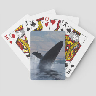 Jeu De Cartes humpback break breaching