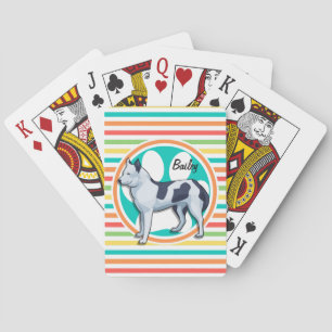 Jeu De Cartes Husky ; Rayures Arc-En-Ciel Lumineuses