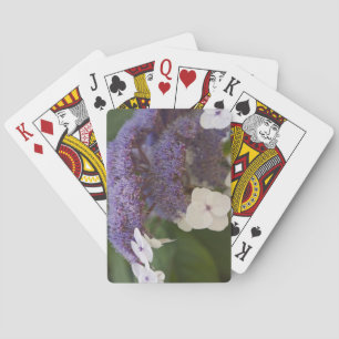 Jeu De Cartes Hydrangea fleurom, Dr Sun Yat-Sen jardin chinois