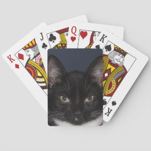 JEU DE CARTES I LUV CATZ