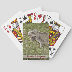 Jeu De Cartes Iguana Lizzard Animal de compagnie Nature Personna
