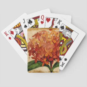 Jeu De Cartes III floral vibrant