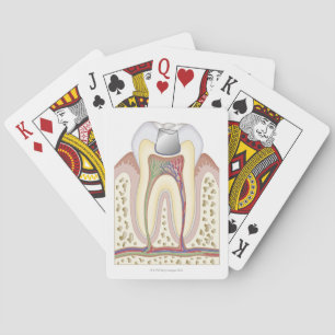 Jeu De Cartes Illustration de Dental Filling