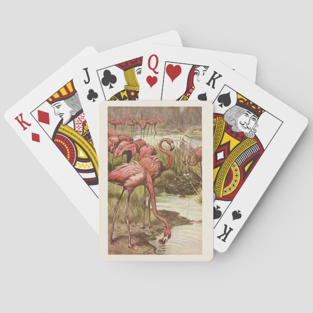 Jeu De Cartes Illustration de Flamant rose rose vintage Lecture  (dos)