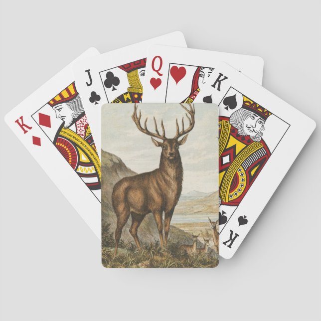 Jeu De Cartes Illustration vintage Buck (dos)
