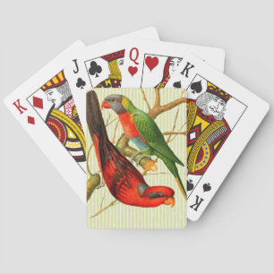 Jeu De Cartes Illustration Vintage colorée de perroquets rouges
