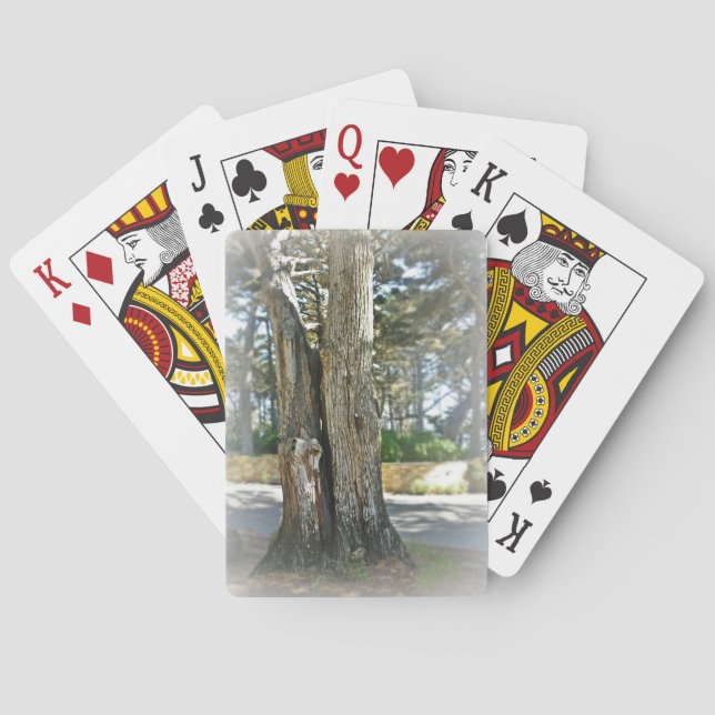 Jeu De Cartes Image pittoresque de deux arbres développés (dos)