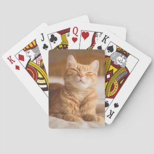 Jeu De Cartes Images Getty   Chat couché