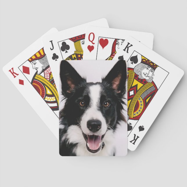 Jeu De Cartes Images Getty | Une Collie frontalière souriante (dos)