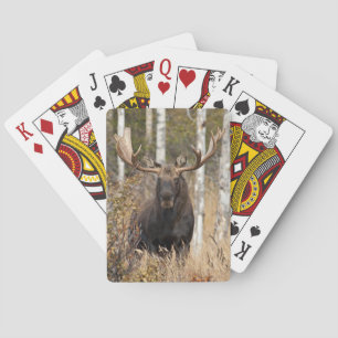 Jeu De Cartes Impressionnant taureau