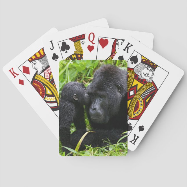 Jeu De Cartes Infant Mountain Gorilla Kisses Silverback (dos)