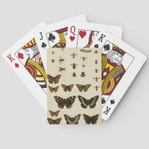 Jeu De Cartes Insectes de jardin par Vision Studio