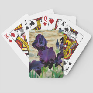 Jeu De Cartes Iris à poils