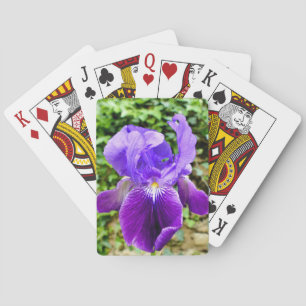 Jeu De Cartes Iris à poils