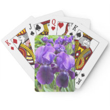 Iris en fleur