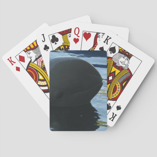 Jeu De Cartes Irrawaddy Dolphin Peek-A-Boo (dos)