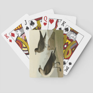 Jeu De Cartes Jager de Richardson de Audubon's Birds of America
