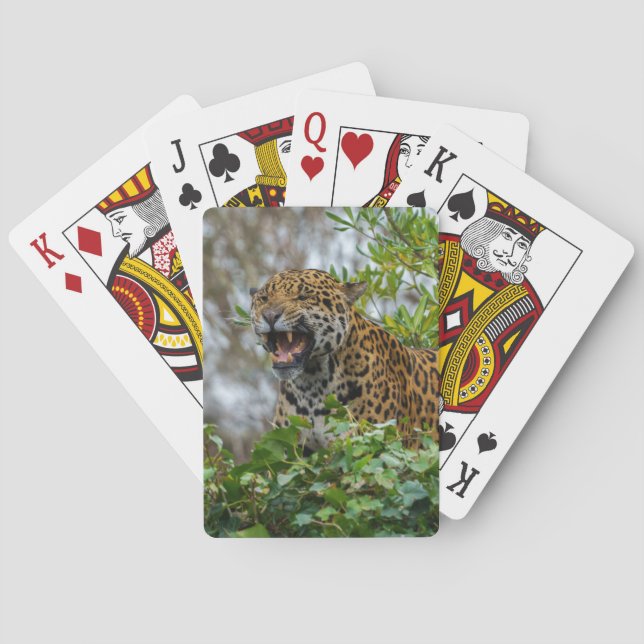 Jeu De Cartes Jaguar Growl (dos)