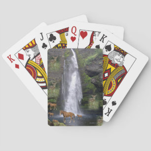 Jeu De Cartes Jeu de cheval Deck de carte