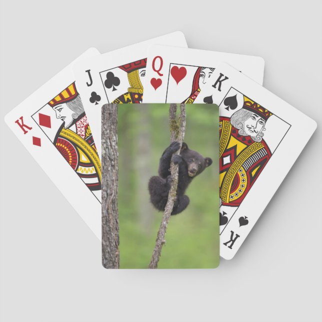 Jeu De Cartes Jeu d'oursons noirs, Tennessee (dos)