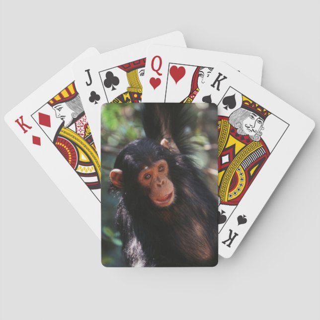 Jeu De Cartes Jeune Chimpanzé (dos)