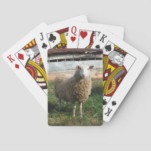 Jeu De Cartes Jeune mouton blanc sur la ferme