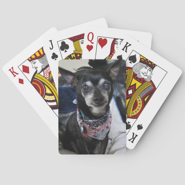 Jeu De Cartes Joey les cartes de jeu de chiwawa (dos)