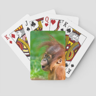 Jeu De Cartes Joli bébé orangoutan regarde en émerveillement
