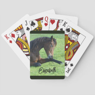 Jeu De Cartes Joli Cheval Brown allongé dans l'herbe