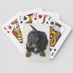 Jeu De Cartes Joli Chien chiot noir Dachshund