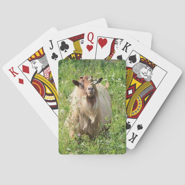 Jeu De Cartes Jouer aux cartes   "Chèvre Thème" (dos)