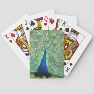 Jeu De Cartes Jouer aux cartes - Peacock