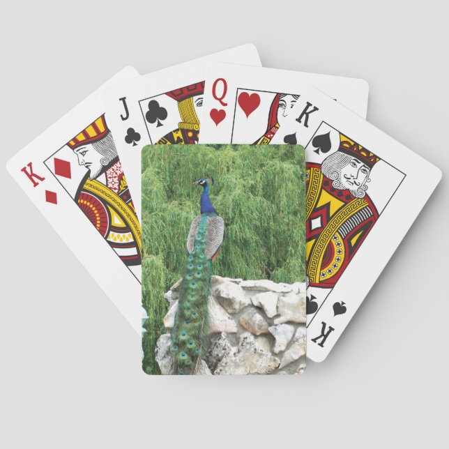 Jeu De Cartes Jouer aux cartes Peacock dans le jardin (dos)