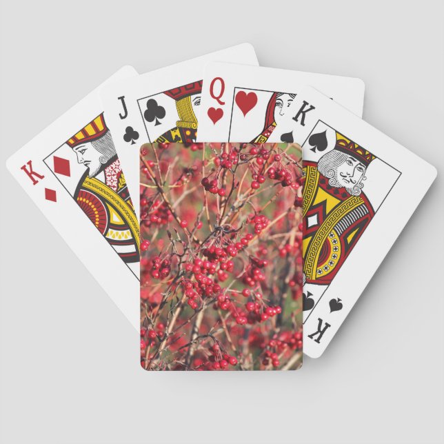 Jeu De Cartes Jouer des cartes avec Berries et Jumbo Index (dos)