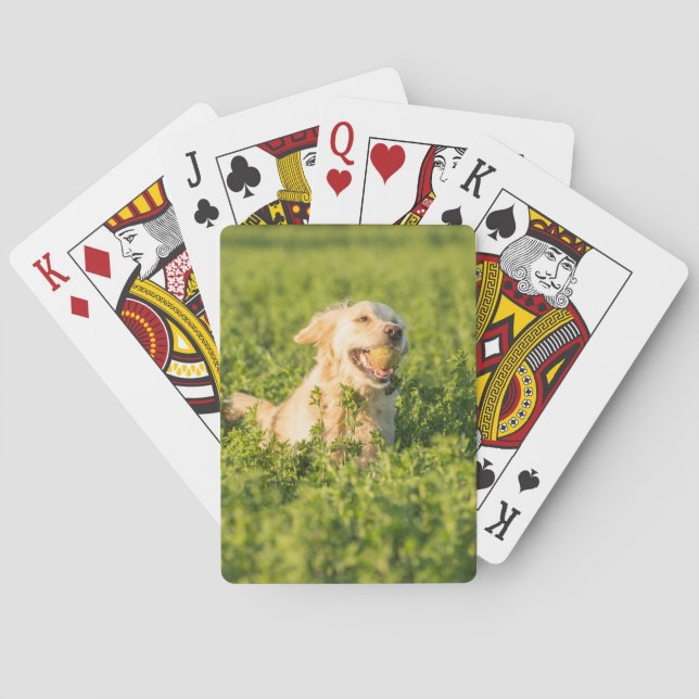 Jeu De Cartes Jouer des cartes avec l'image avant de Golden Retr (dos)