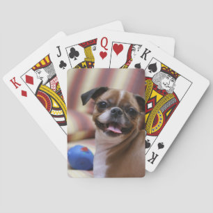 Jeu De Cartes Joyeux chien avec jouet