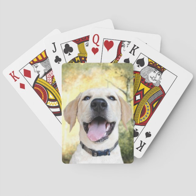 Jeu De Cartes Joyeux laboratoire jaune (dos)
