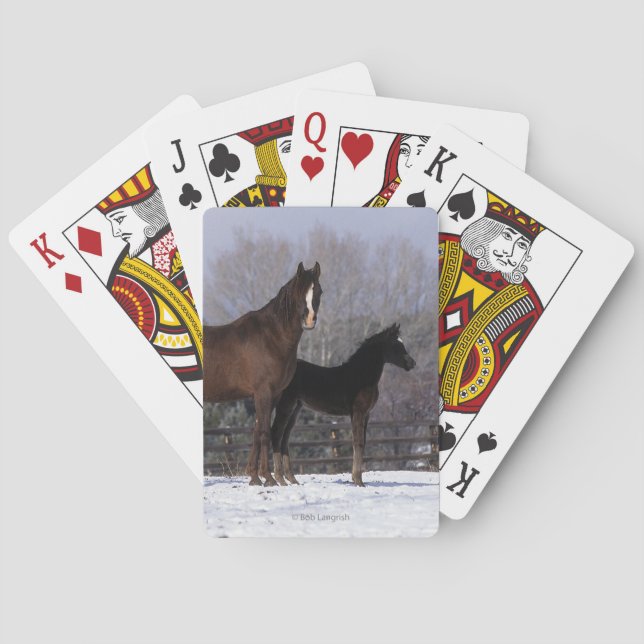 Jeu De Cartes Jument et poulain arabes dans la neige (dos)