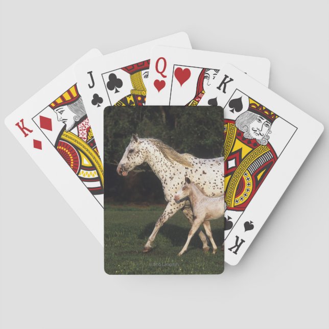 Jeu De Cartes Jument et poulain d'Appaloosa dans le domaine (dos)